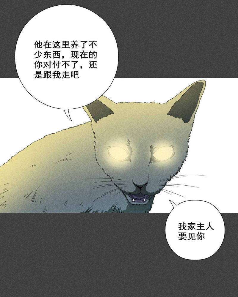 第38章：带话（五）11