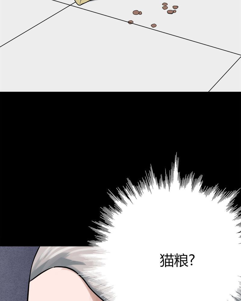 第120章：猫尽公藏（上）39