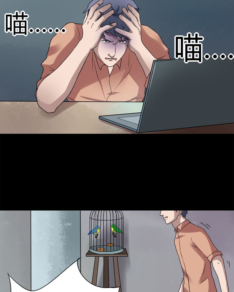 第68章：茹猫饮血（上）12