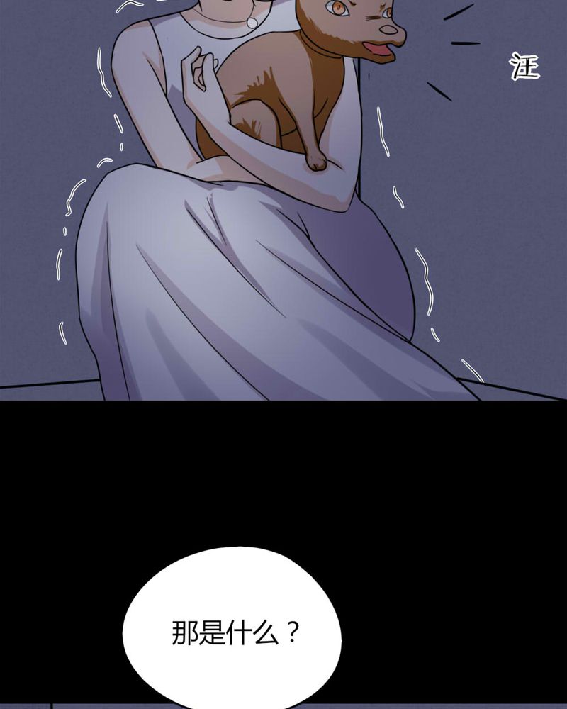 第126章：暗身之地（上）29