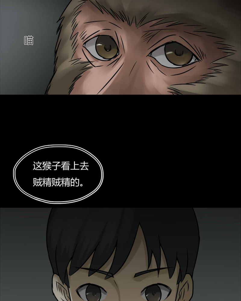 第84章：猴知猴觉（上）9