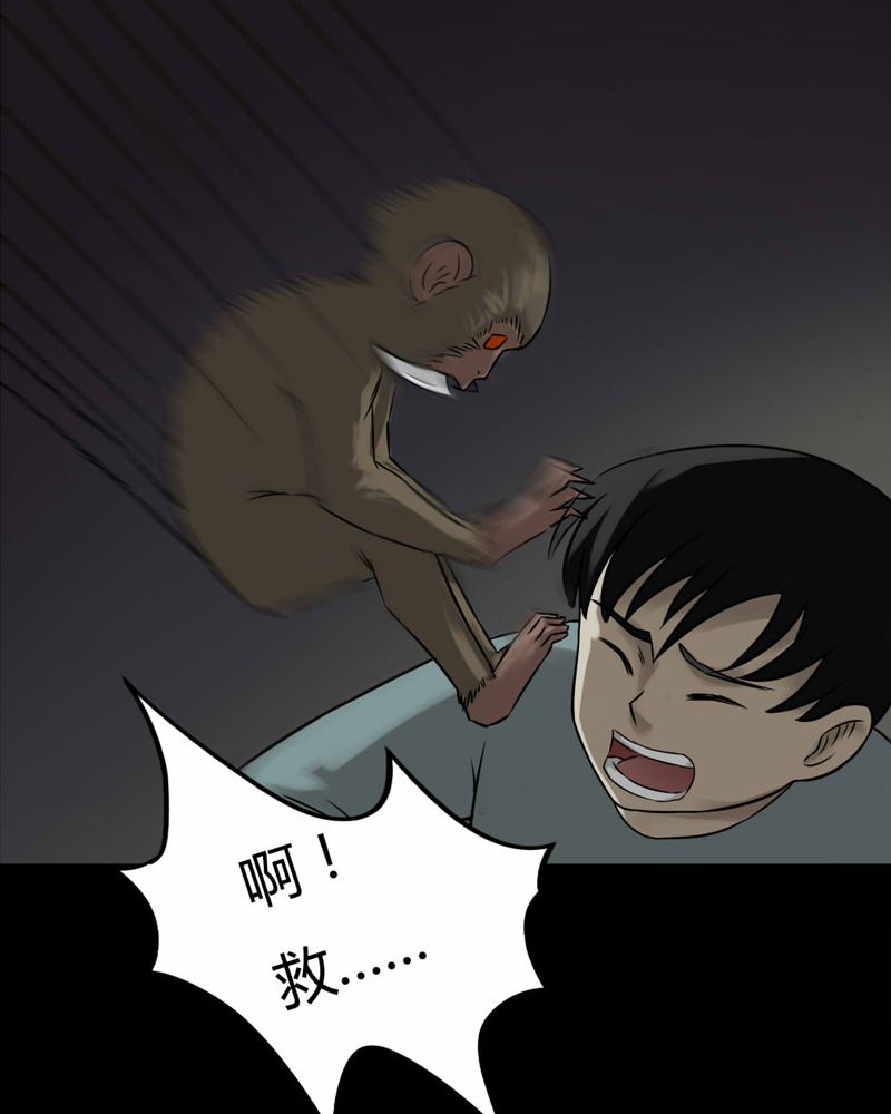 第85章：猴知猴觉（下）21