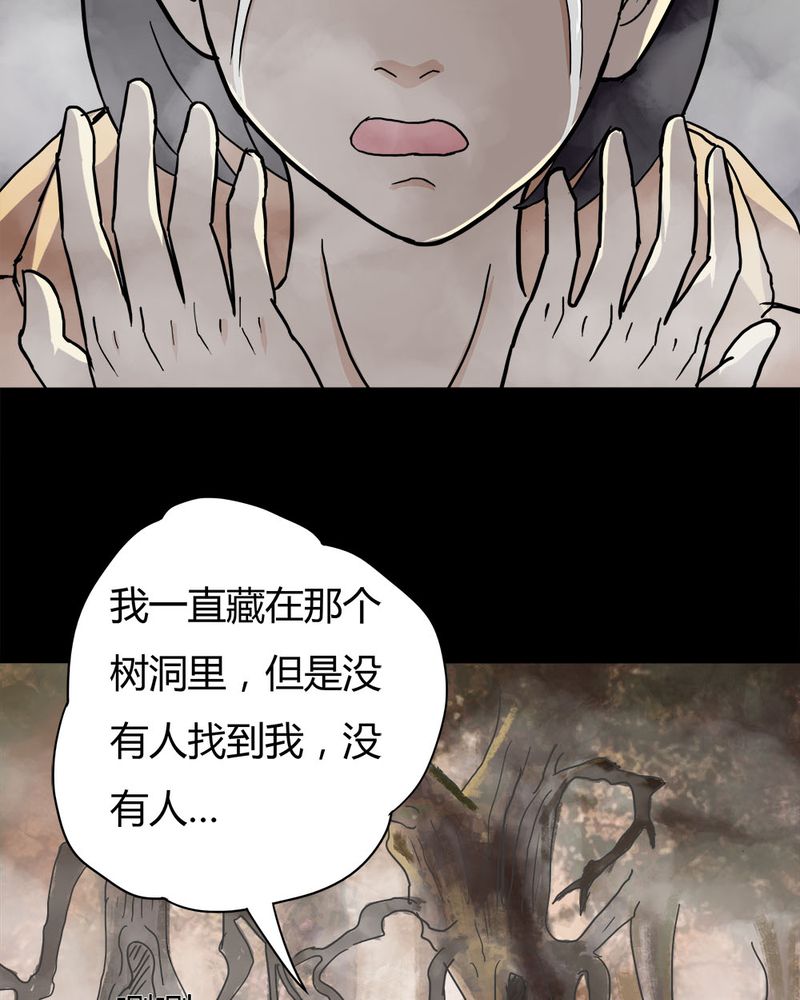第25章：雾处可藏（下）25