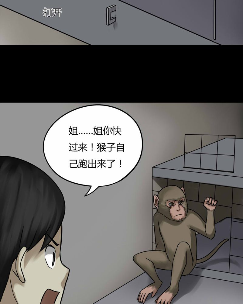 第85章：猴知猴觉（下）2