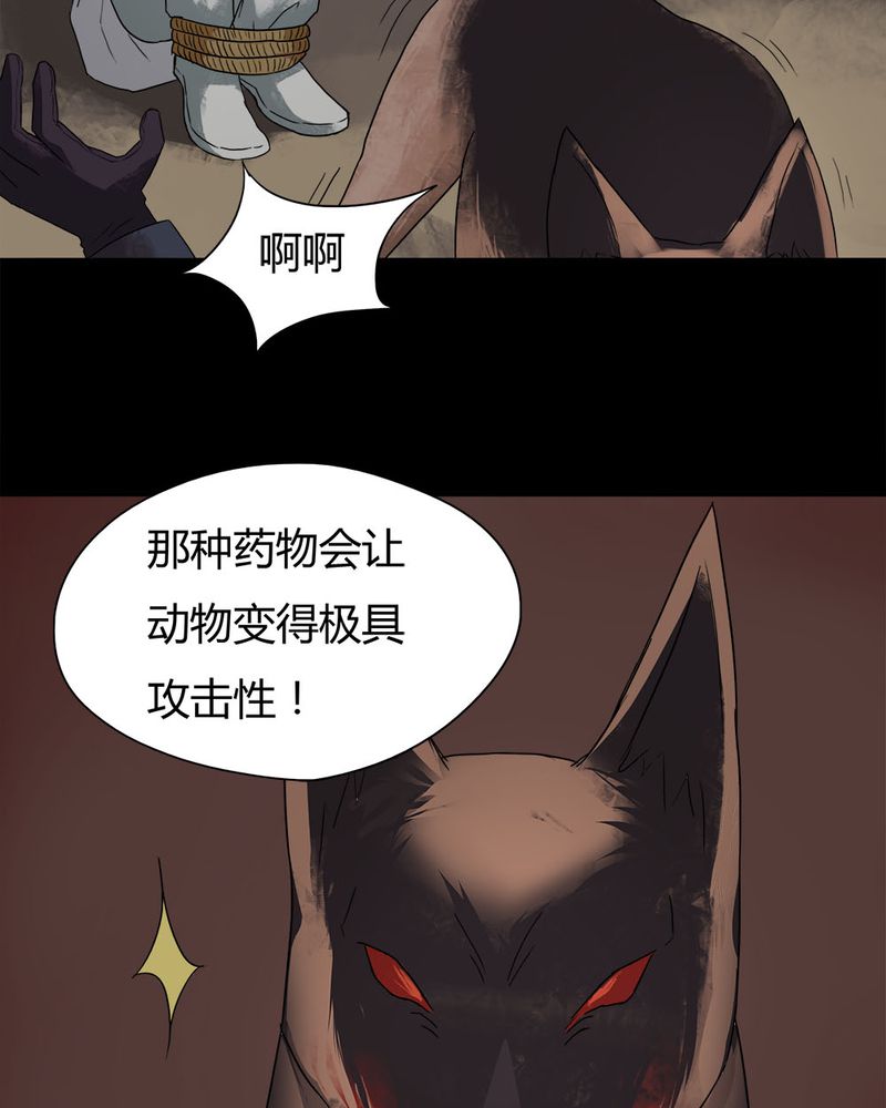 第27章：十恶生肖（下）24