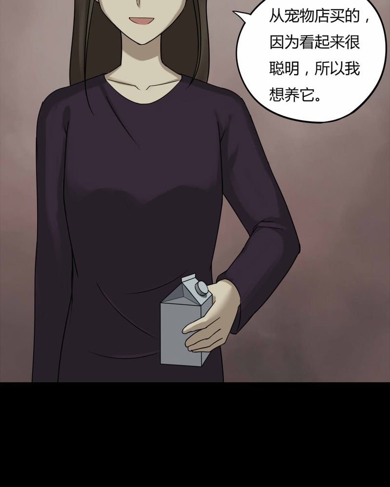 第84章：猴知猴觉（上）3