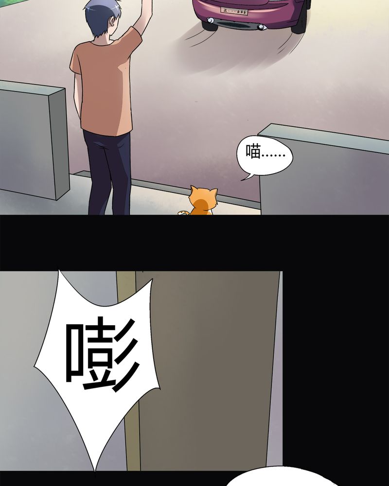 第68章：茹猫饮血（上）19