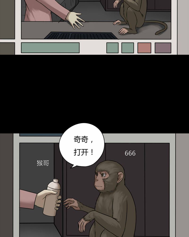 第84章：猴知猴觉（上）12