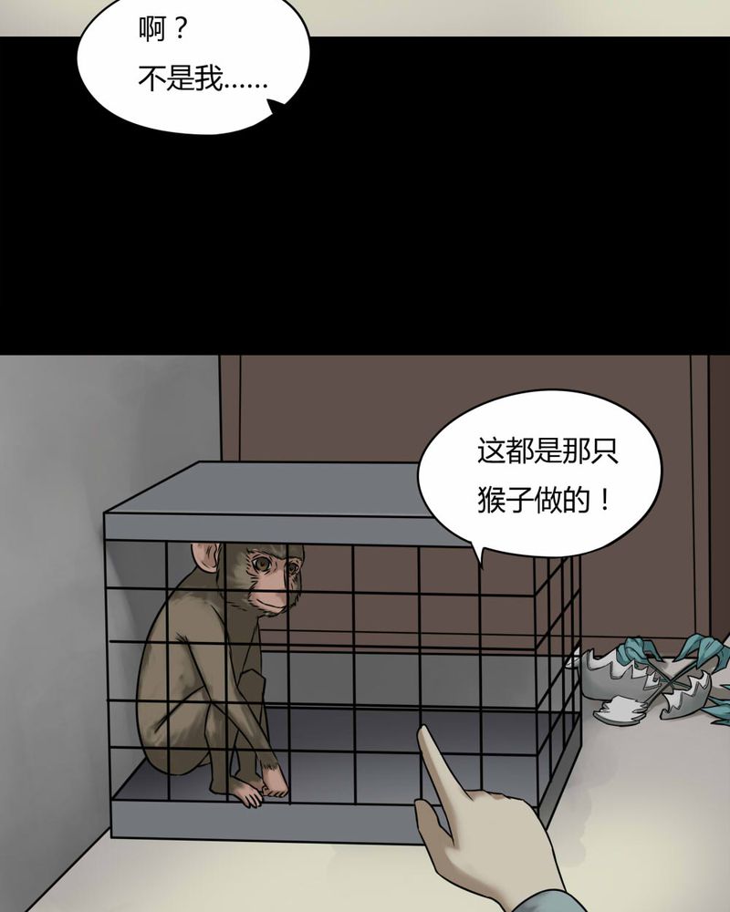 第85章：猴知猴觉（下）7