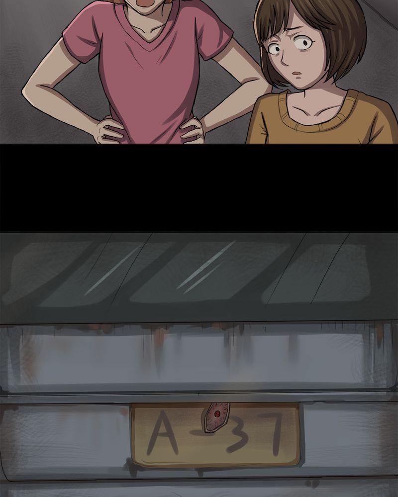 第13章：牦运连连（上）27
