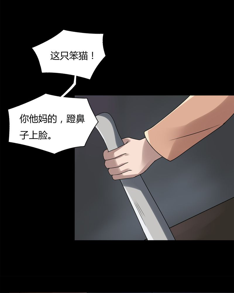 第68章：茹猫饮血（上）28