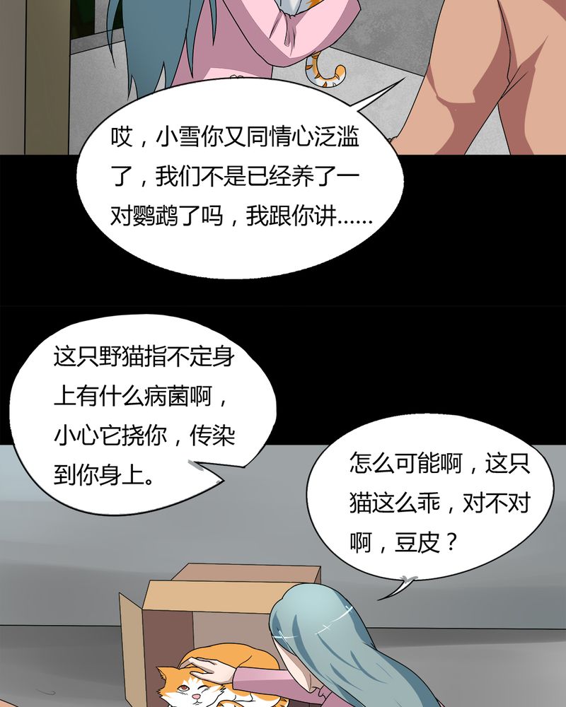 第68章：茹猫饮血（上）5