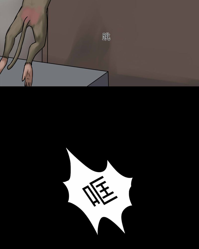 第85章：猴知猴觉（下）4