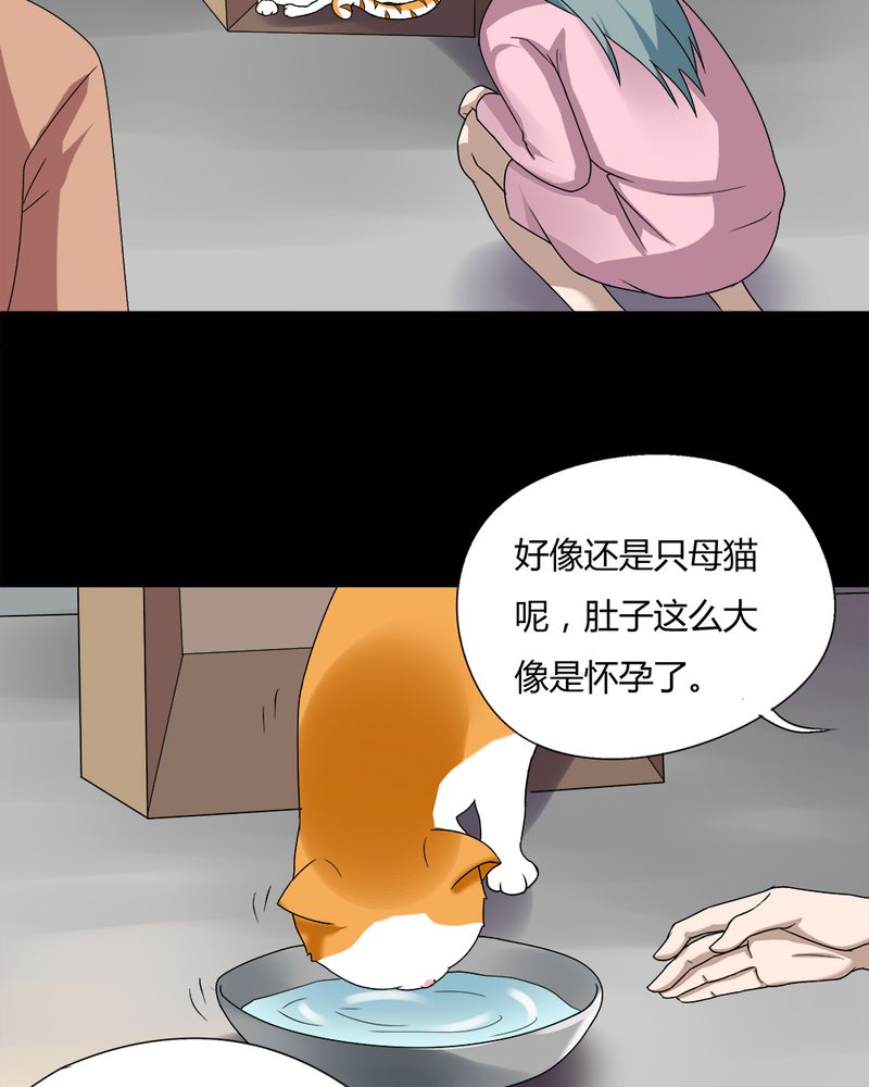 第68章：茹猫饮血（上）6