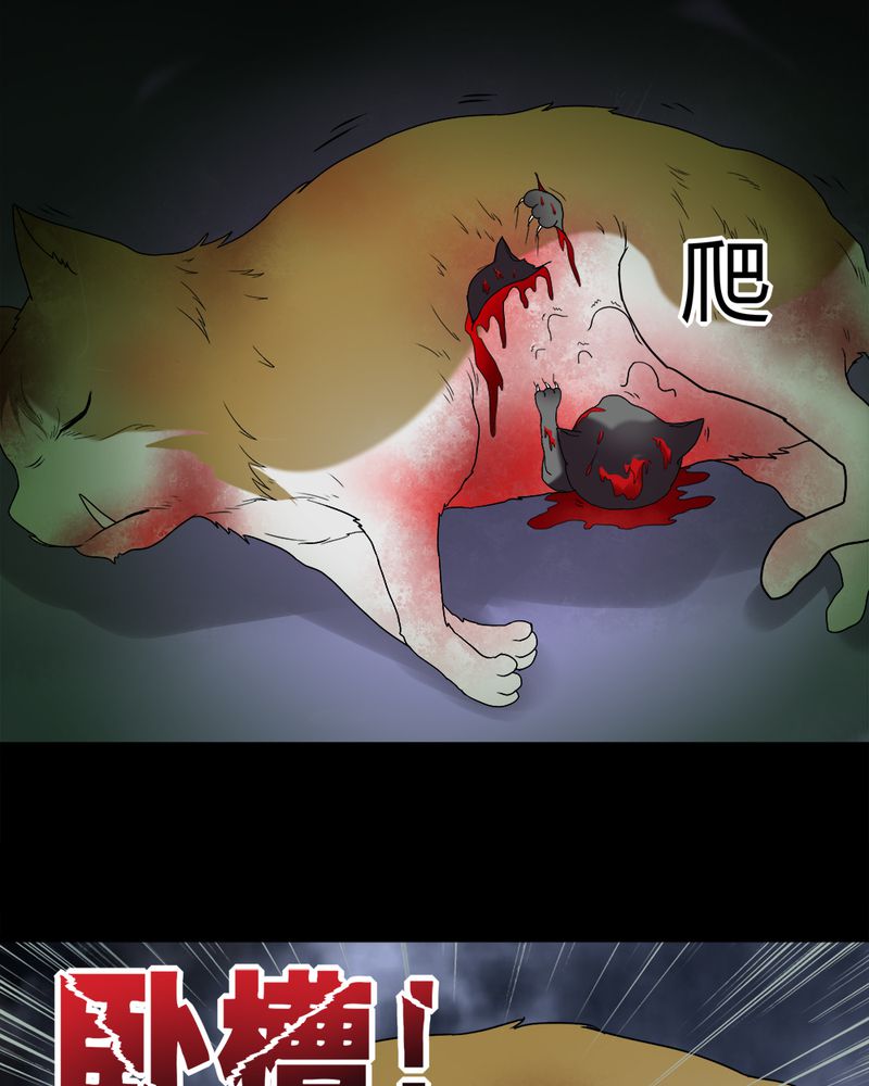 第69章：茹猫饮血（下）32