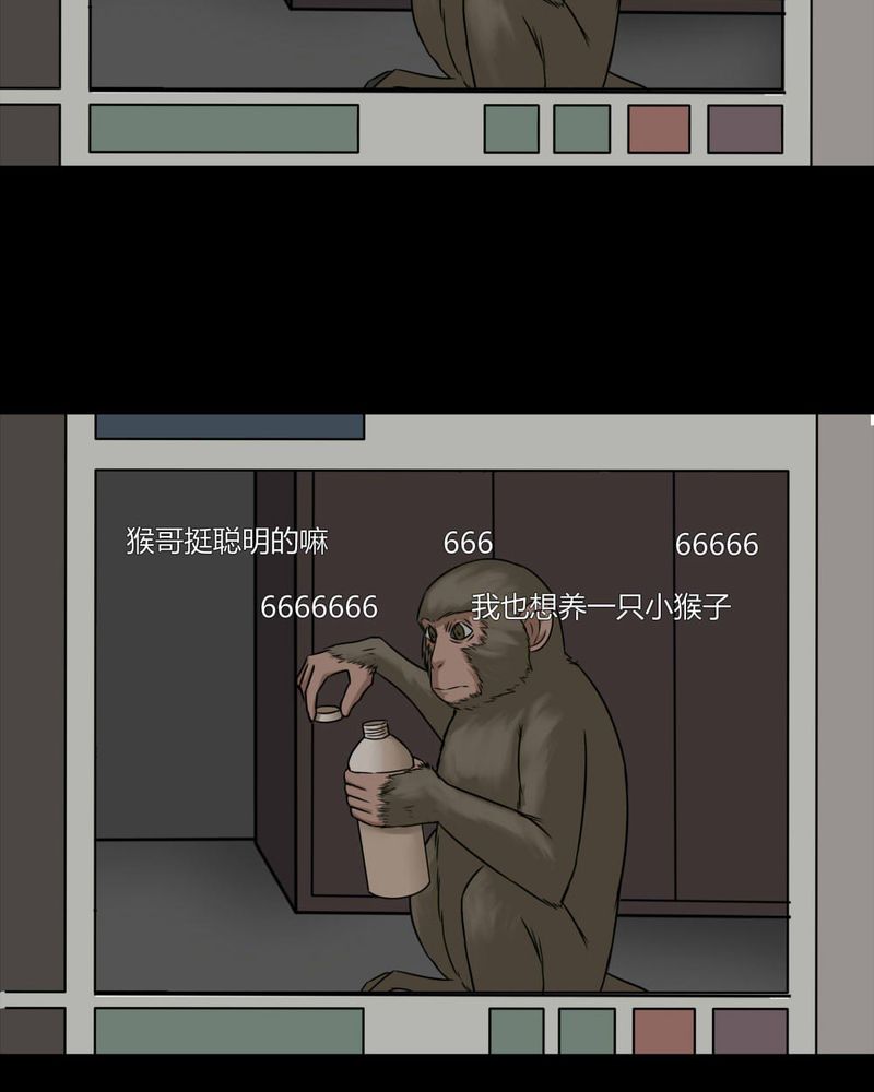 第84章：猴知猴觉（上）13