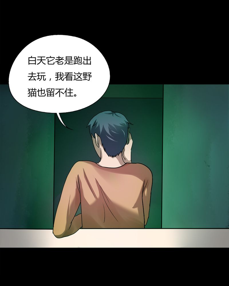 第69章：茹猫饮血（下）23