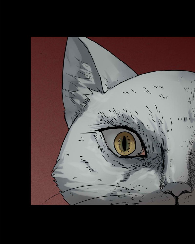 第121章：猫尽公藏（下）22