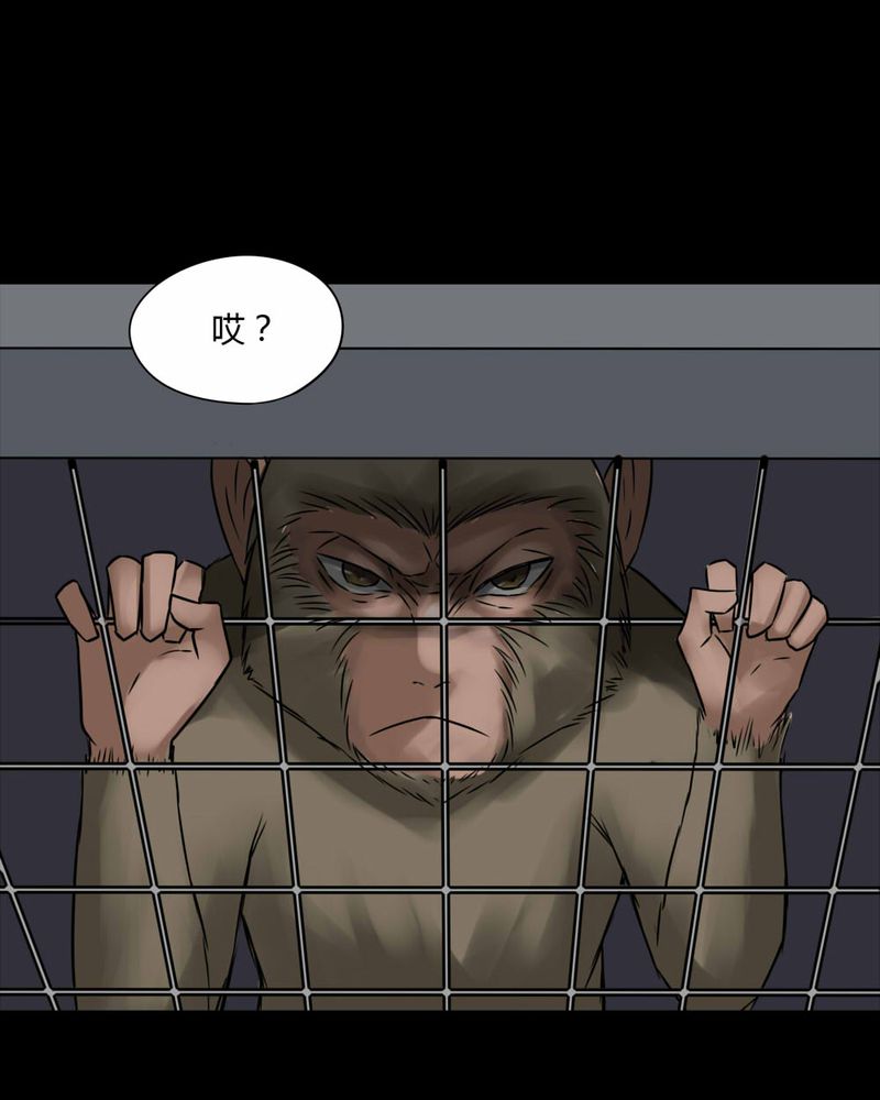 第84章：猴知猴觉（上）30