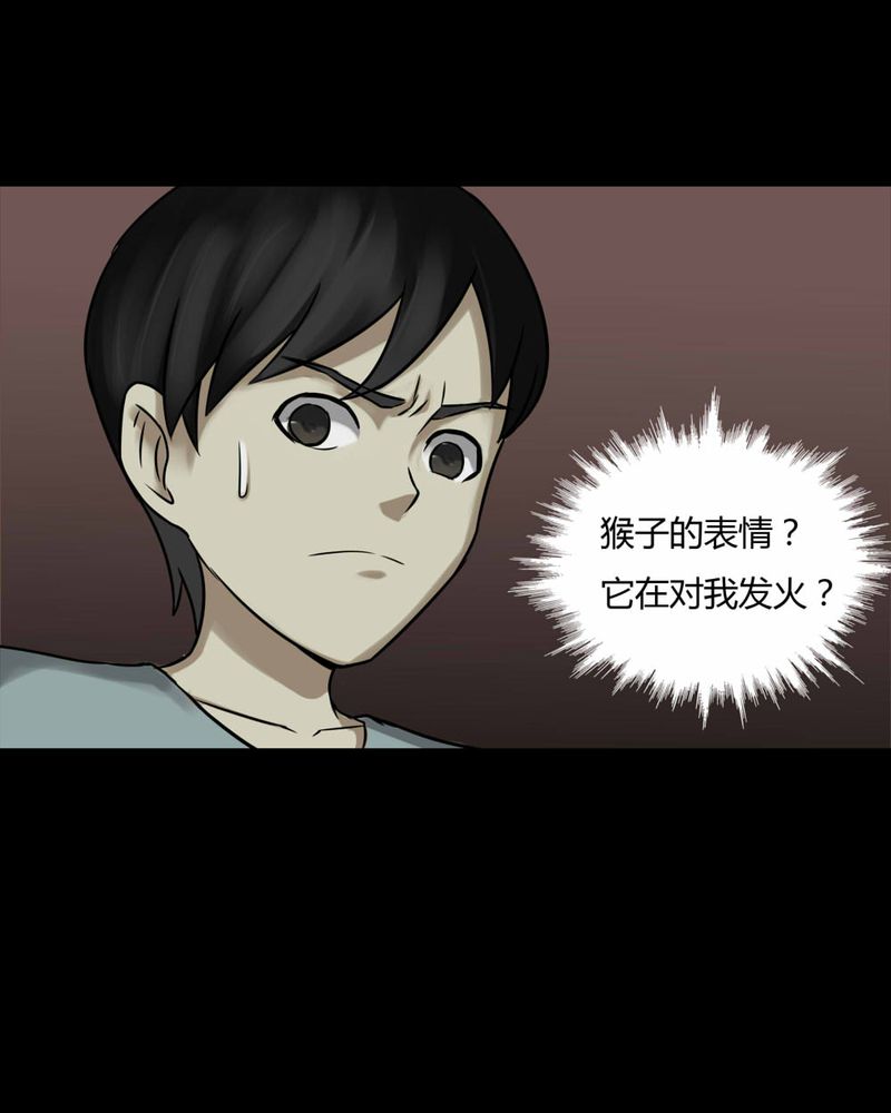 第84章：猴知猴觉（上）31