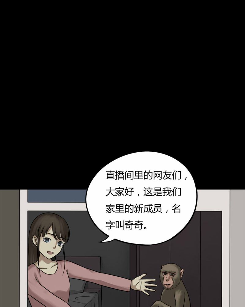 第84章：猴知猴觉（上）11