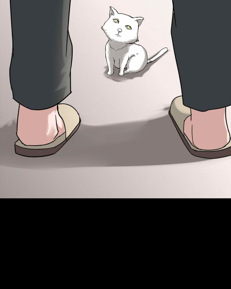 第120章：猫尽公藏（上）11