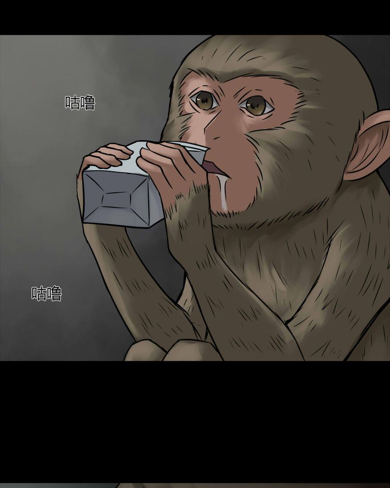 第84章：猴知猴觉（上）8
