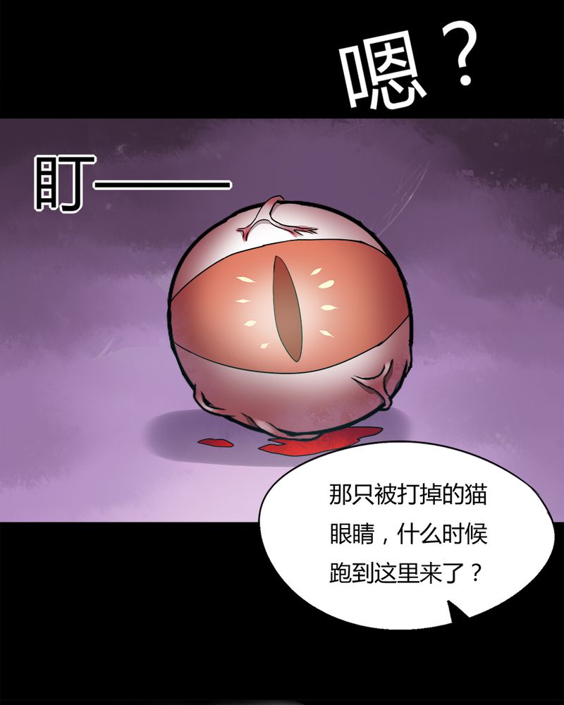 第69章：茹猫饮血（下）17