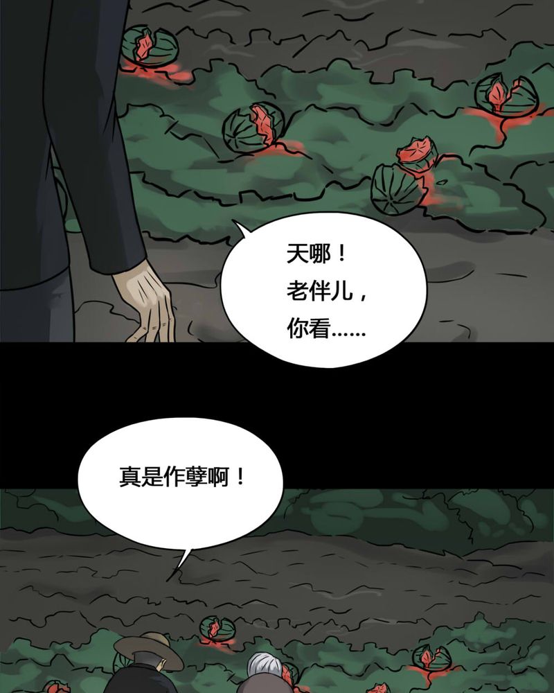 第99章：牵肠瓜肚（上）37