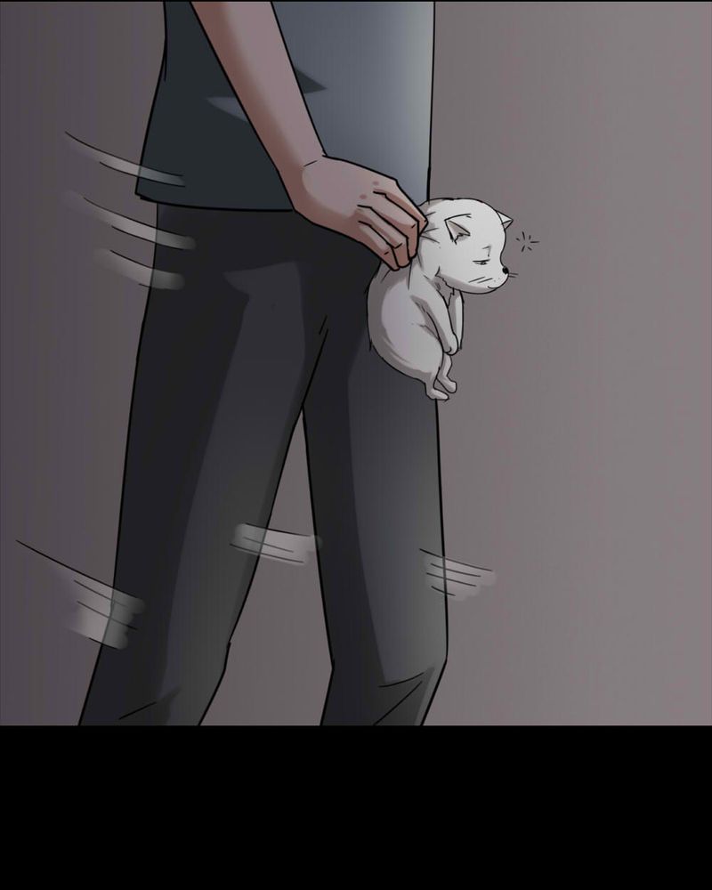 第120章：猫尽公藏（上）9
