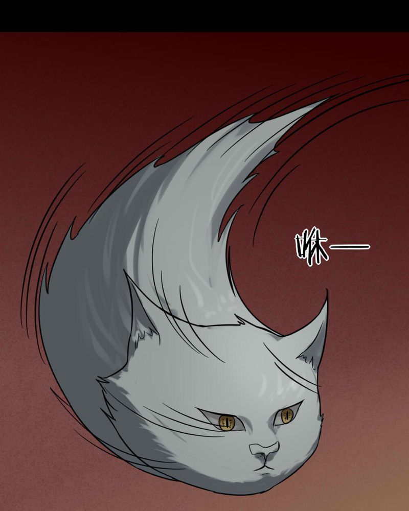 第121章：猫尽公藏（下）23