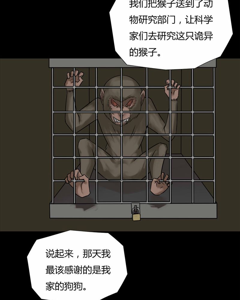 第85章：猴知猴觉（下）31