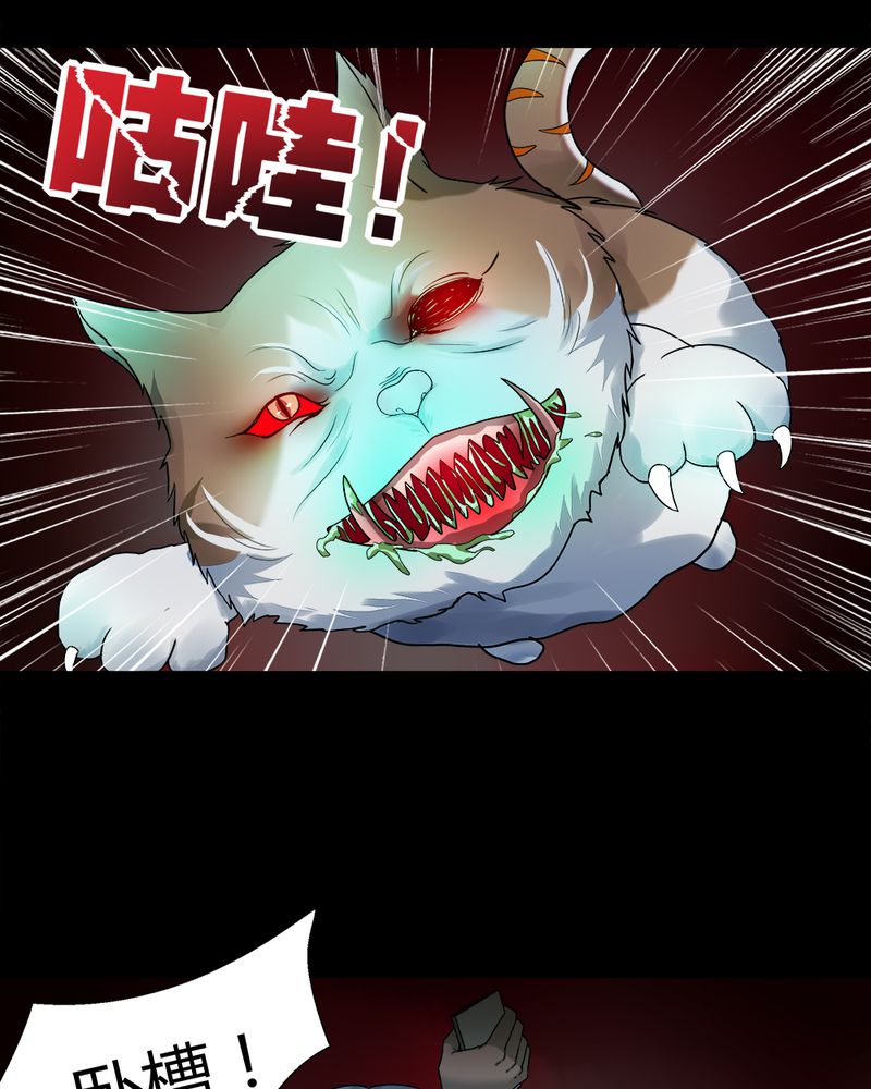 第69章：茹猫饮血（下）24