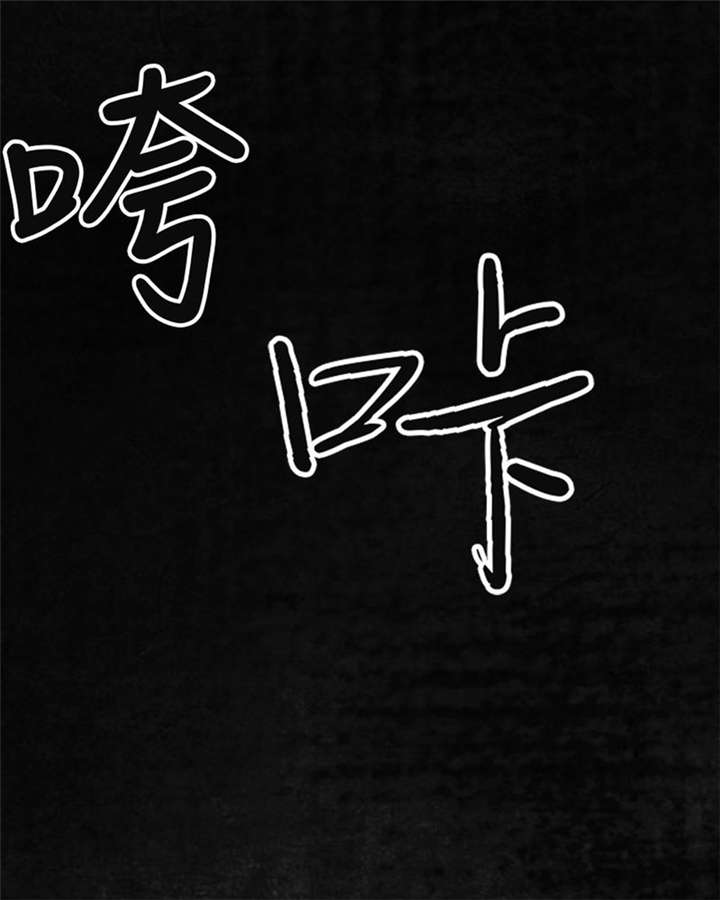 第13章：大将军到此42