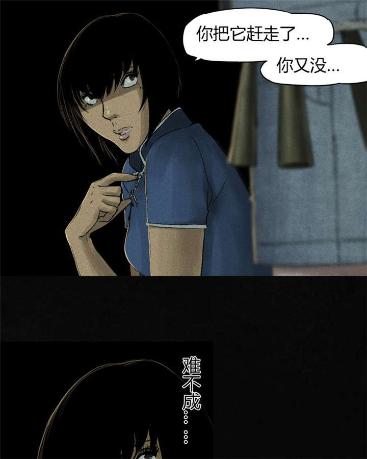 第44章：圣路易医院40
