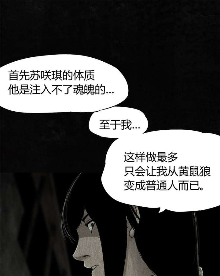 第52章：最终篇（中）16