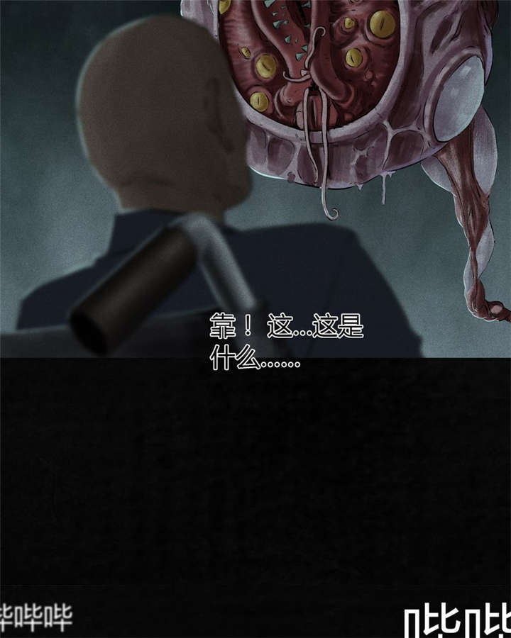 第33章：食物51
