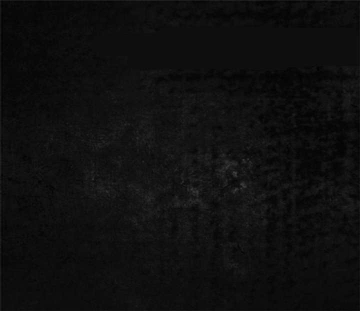 第3章：定国的选择77