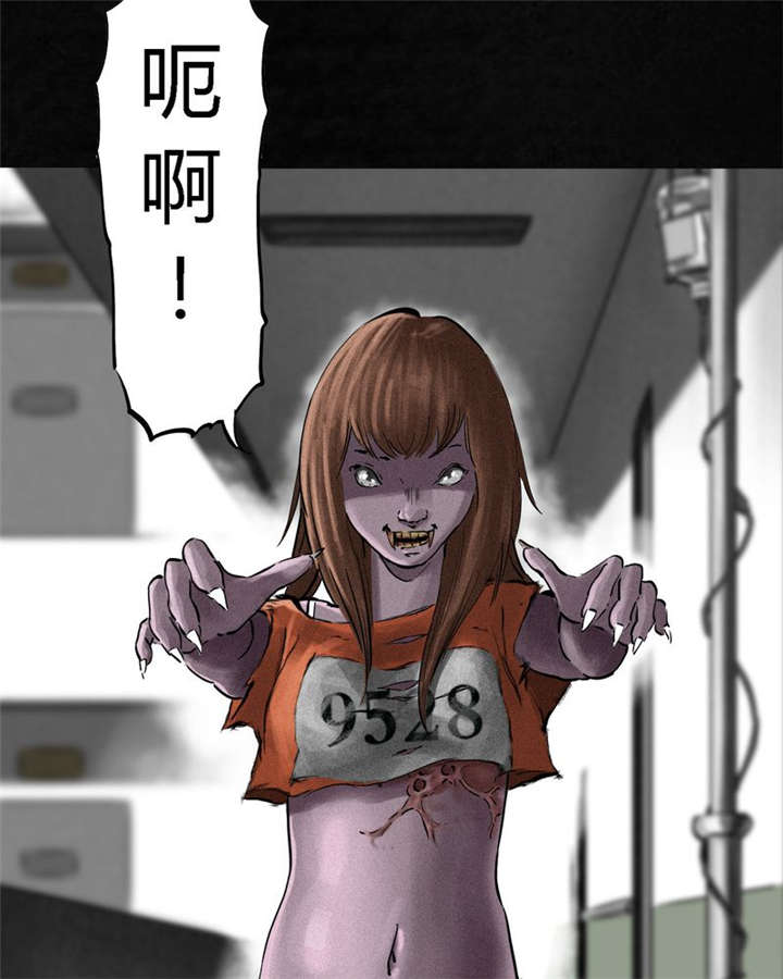 第13章：大将军到此52