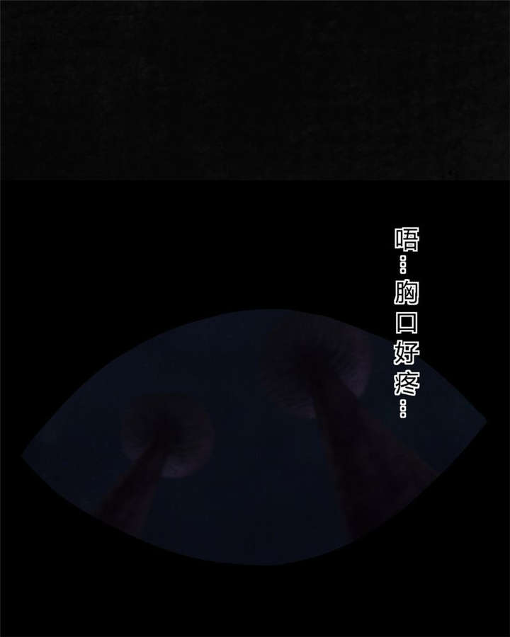 第41章：这里也有···16