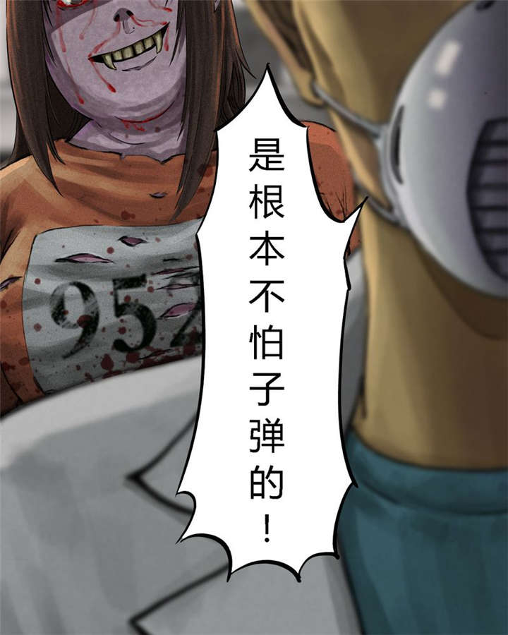 第13章：大将军到此28