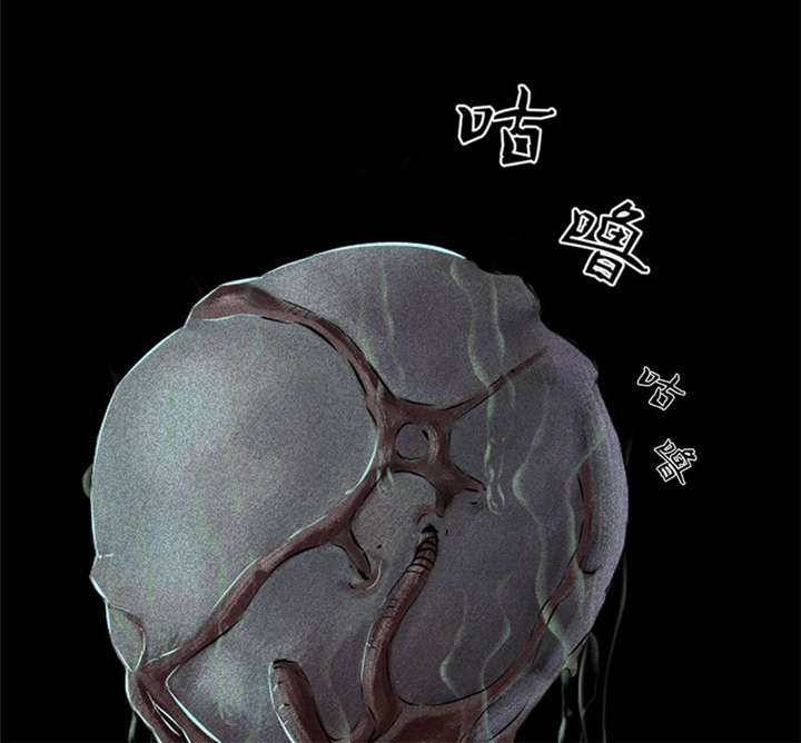 第33章：食物43