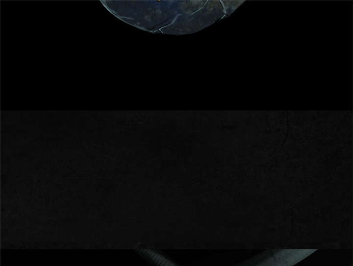第23章：欧海平的选择24