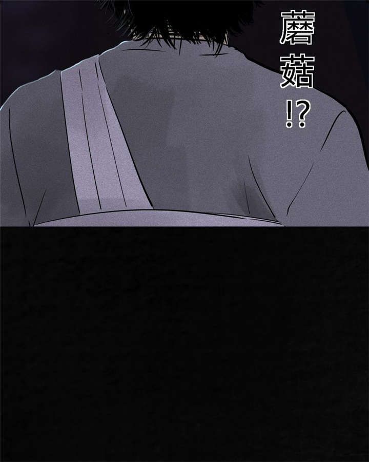 第41章：这里也有···28