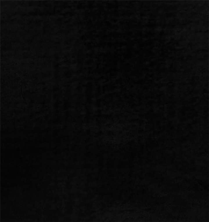 第20章：将军箭66