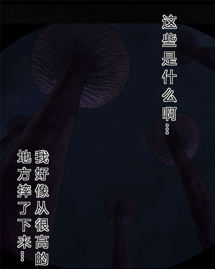第41章：这里也有···17