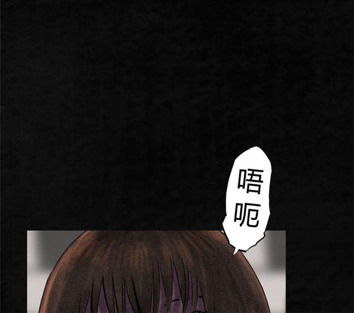 第13章：大将军到此29