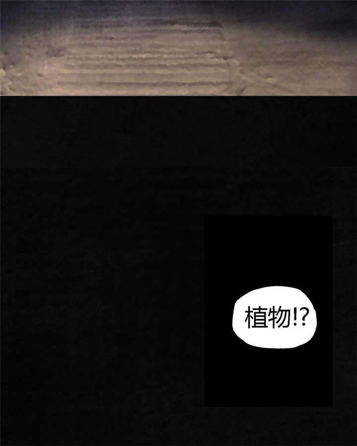 第39章：回到地面？73