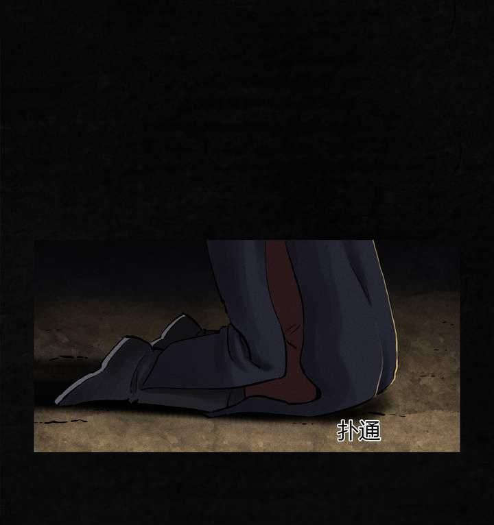 第43章：胡黄白柳灰26
