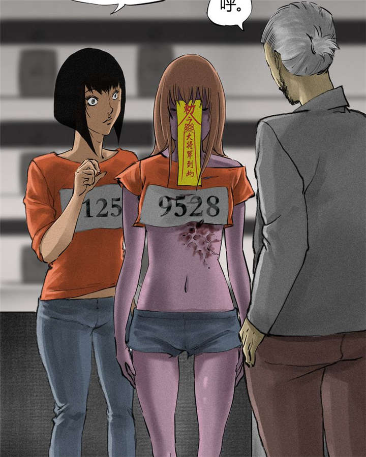 第13章：大将军到此86